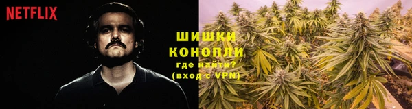 стаф Абаза